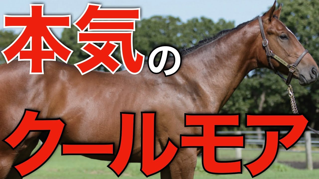 クールモアが日本に超良血牝馬を大量投入！イクイノックスに本気の証か。