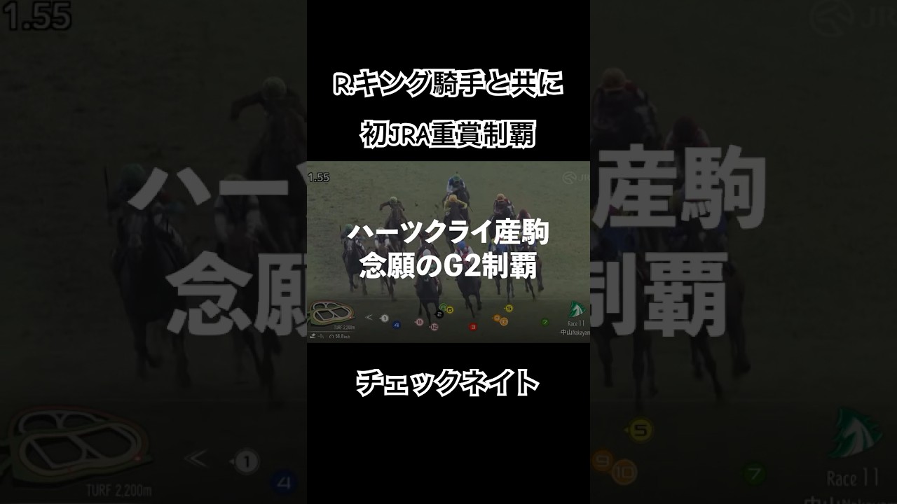 【チェックネイト】R.キング騎手と共にJRA重賞初制覇！#競馬 #ajcc #チェックネイト