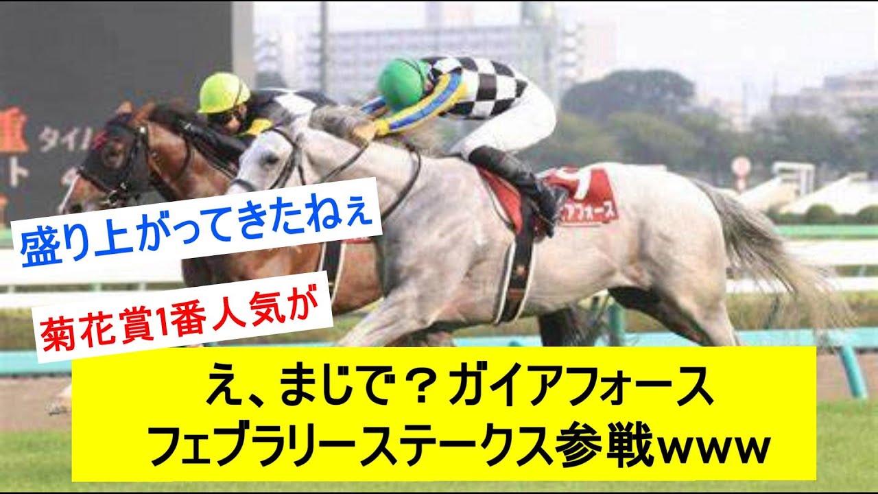 【悲報】ガイアフォース、フェブラリーステークス参戦wwwwwに対するみんなの反応【競馬反応集】