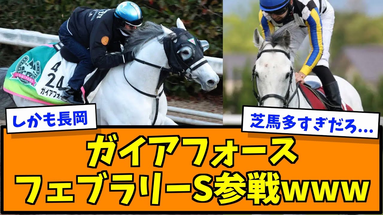 ガイアフォース フェブラリーS参戦www