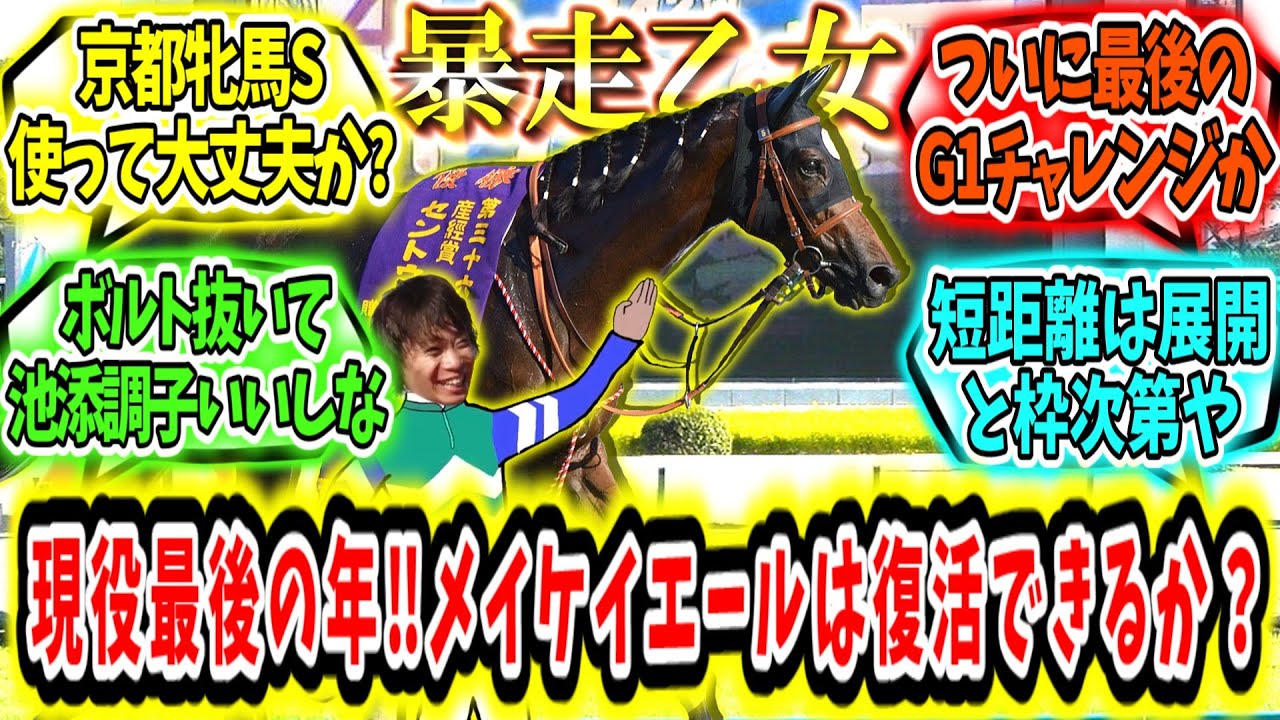 『ついに現役最後の年‼メイケイエールは復活できるか？』に対するみんなの反応【競馬の反応集】