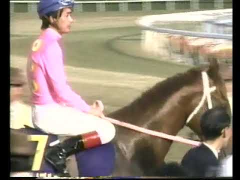 ミホノブルボン＆ライスシャワー＆マチカネタンホイザ@1992年☆菊花賞18頭の本馬場入場