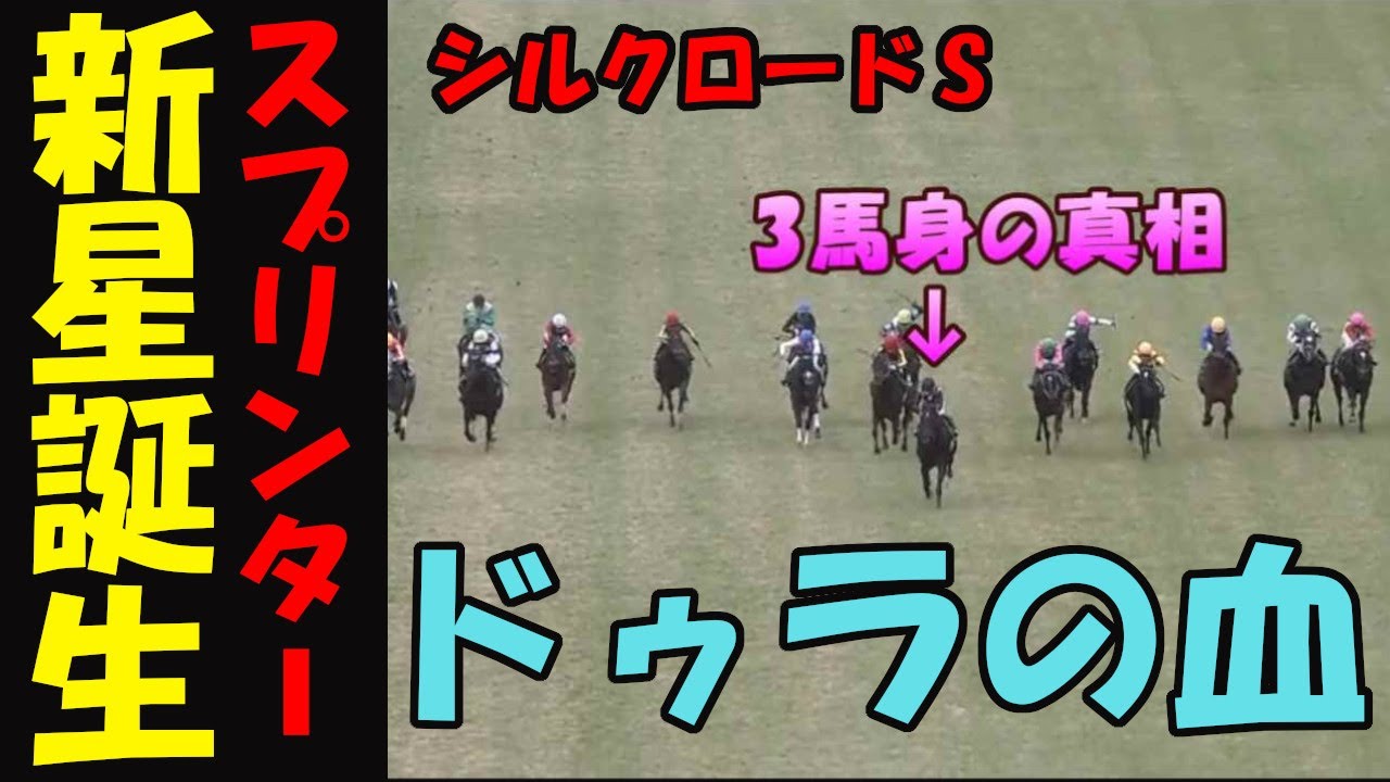 【シルクロードS＆根岸S2024レース回顧】スプリントの新星爆誕！またもドゥラメンテ産駒から！ハイペースを前々でちぎっり着差3馬身！高松宮記念でルガルが躍動するか⁉馬券センス０男の悲痛な嘆き