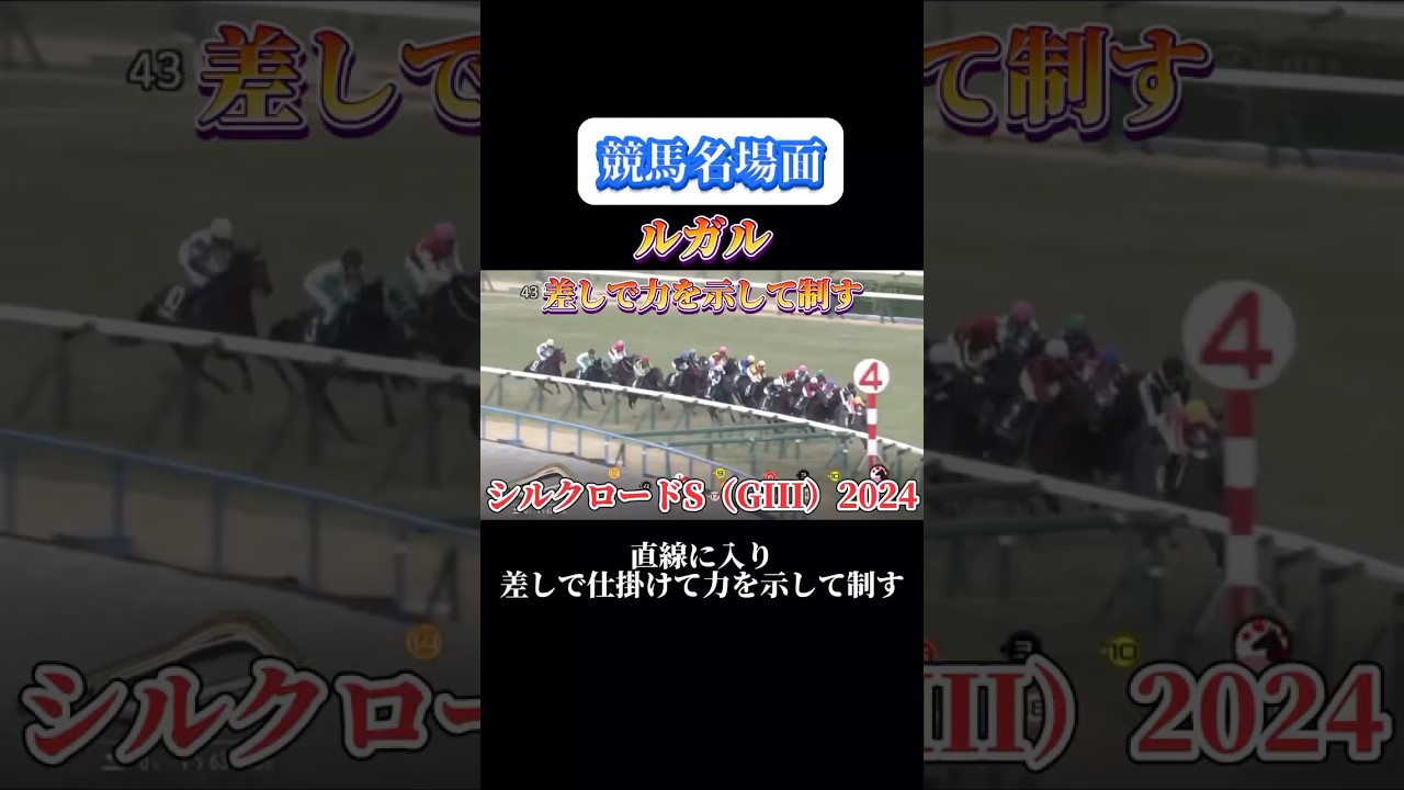 【競馬】ルガル【シルクロードS2024】#shorts #競馬 #ルガル #シルクロードステークス #競馬予想はショート動画に