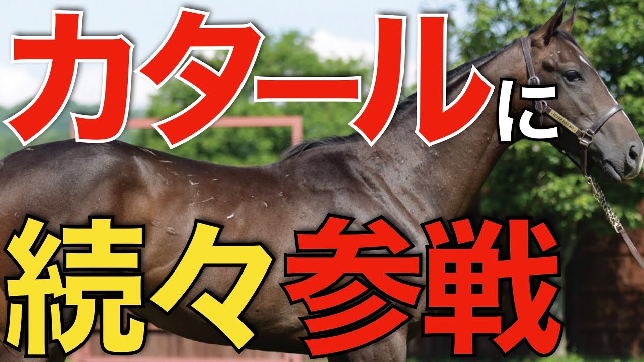 2億円超え！カタールの高額賞金レースに日本馬が挑戦へ。