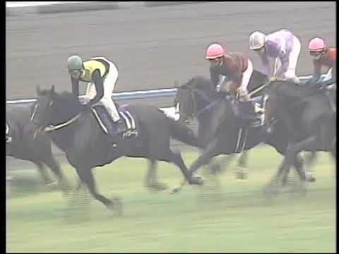 ２００２年　第６３回菊花賞　ヒシアマゾン