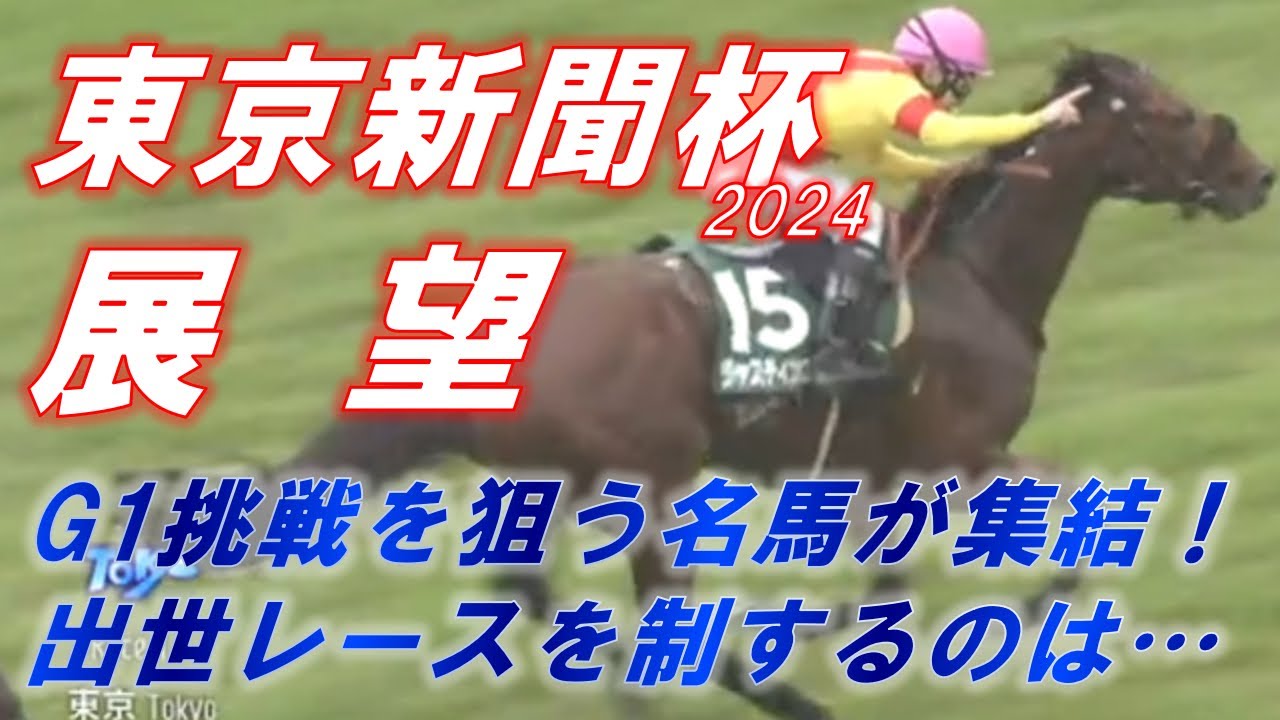 東京新聞杯2024　展望　ジャスティンカフェ・マスクドディーヴァ・ウンブライト等　元馬術選手のコラム by アラシ