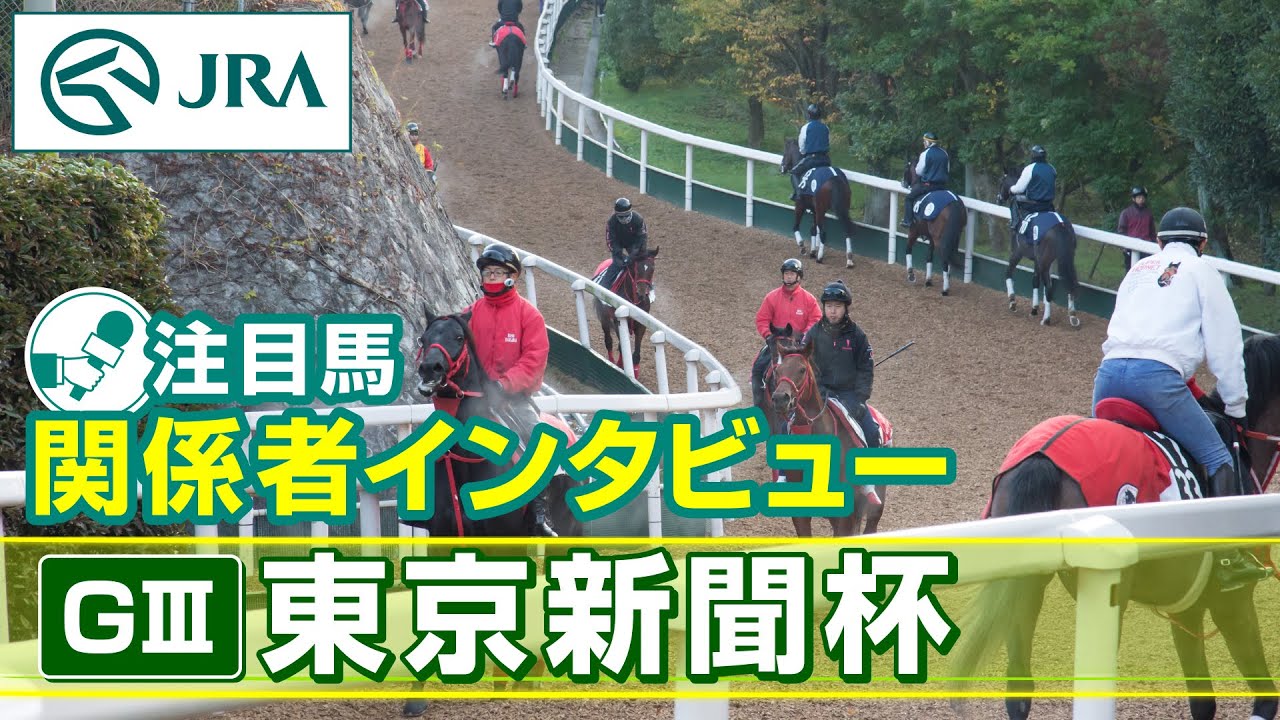【注目馬 関係者インタビュー】2024年 東京新聞杯｜JRA公式
