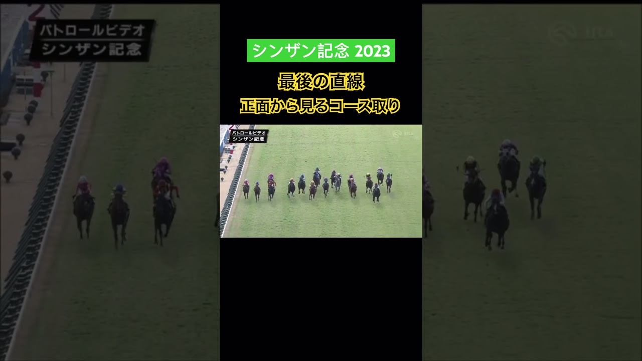 シンザン記念 正面から見る最後の直線 #shorts #競馬 #シンザン記念