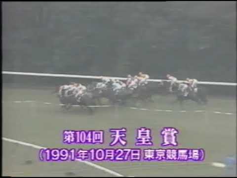 1991 天皇賞（秋） プレクラスニー