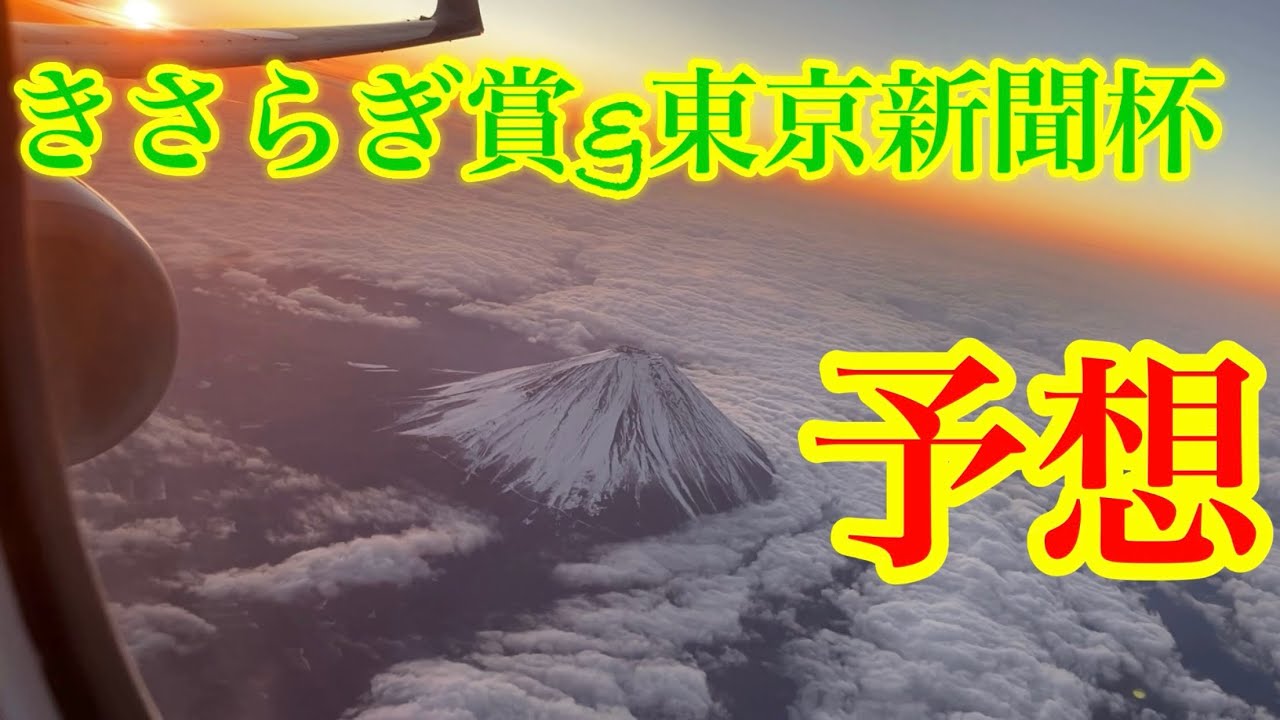 【Friday KEIBA予想】日曜日、雪が☃️降るかも⁈買いたくなる馬体の馬‼︎