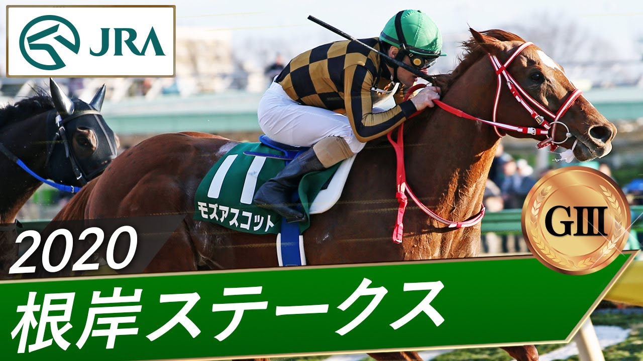 2020年 根岸ステークス（GⅢ） | モズアスコット | JRA公式