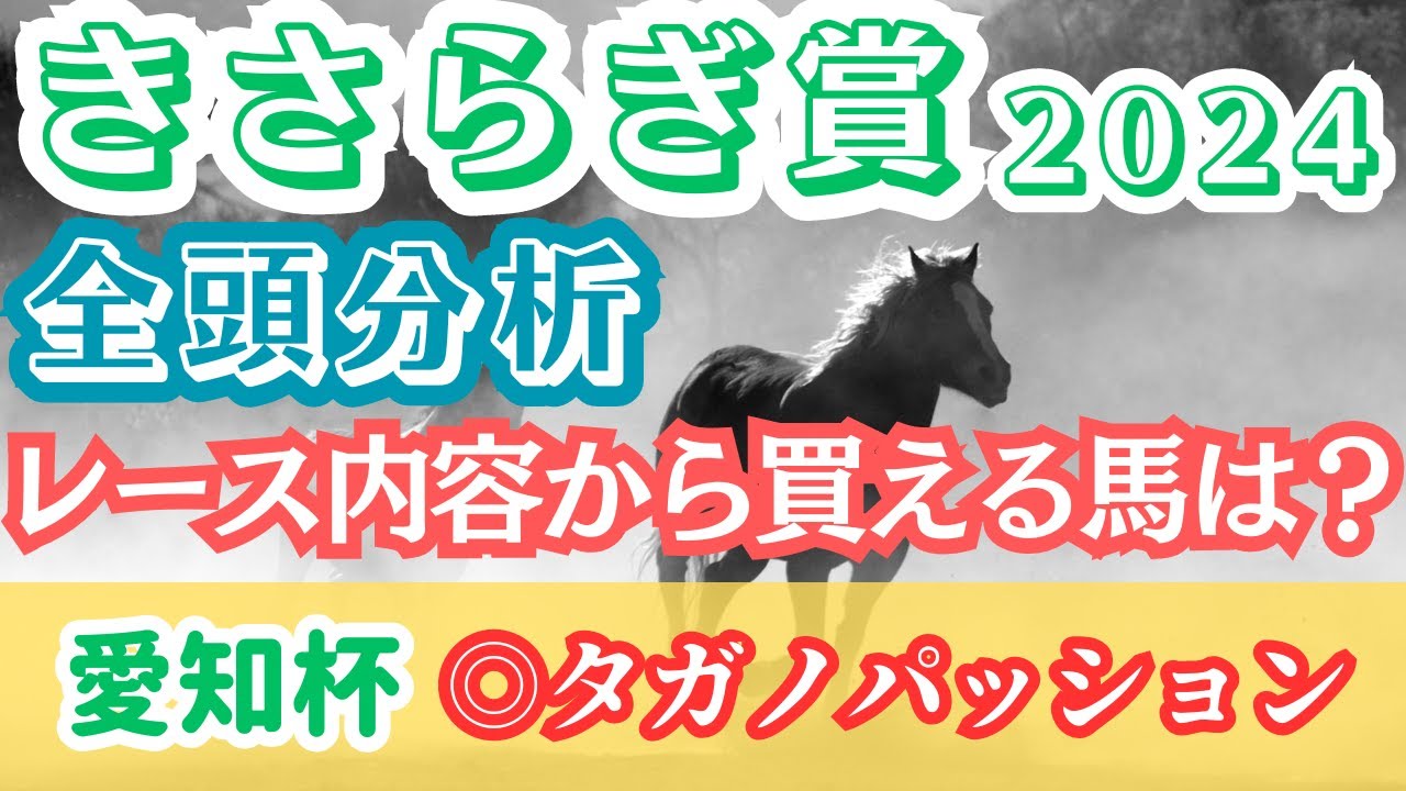 【きさらぎ賞2024全頭分析】これまでのレース内容から買いたい馬とは？12頭を徹底分析！