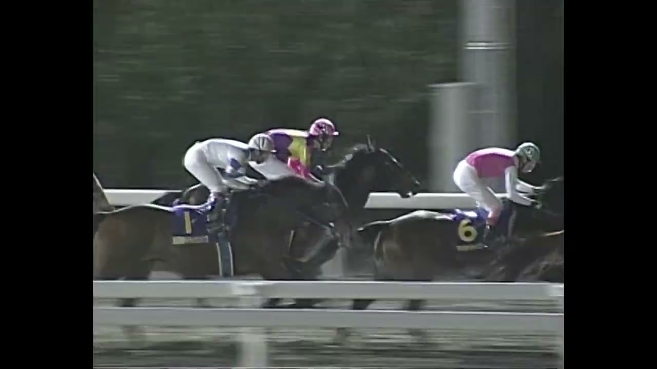 2010年11月12日　第6回黒潮マイルチャンピオンシップ