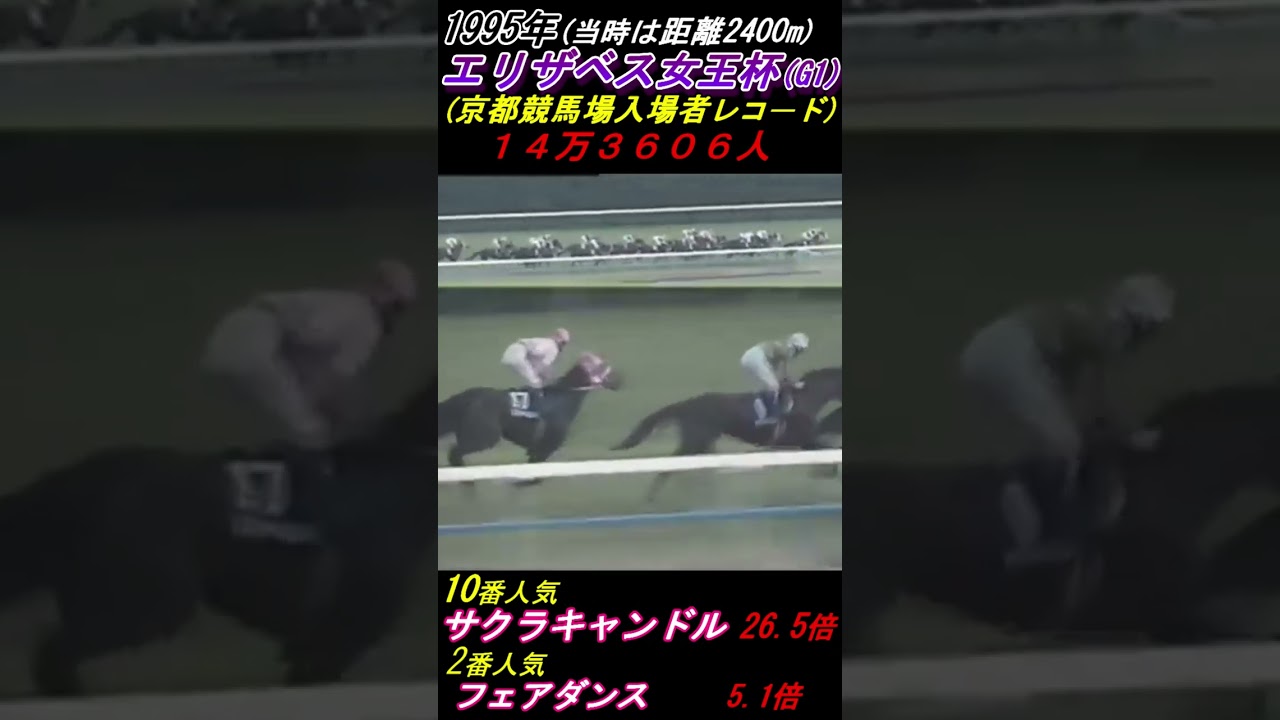 【馬場鉄志アナの大失態！】サクラキャンドルを誤認しフェアダンス先頭！ 京都競馬場入場者レコードの日！エリザベス女王杯(G1･1995年) #馬場鉄志 #サクラキャンドル #フェアダンス