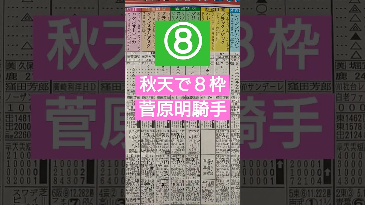 #白富士ステークス#天皇賞秋#横山武史#サイン競馬#サイン予想