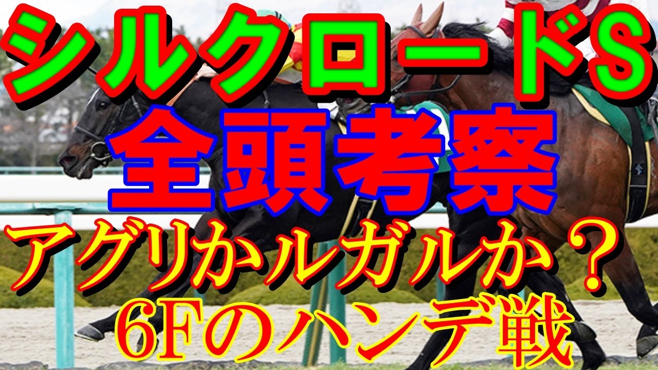 【競馬】シルクロードS　2024年【全頭考察】難解なメンバー！馬場が大切定期