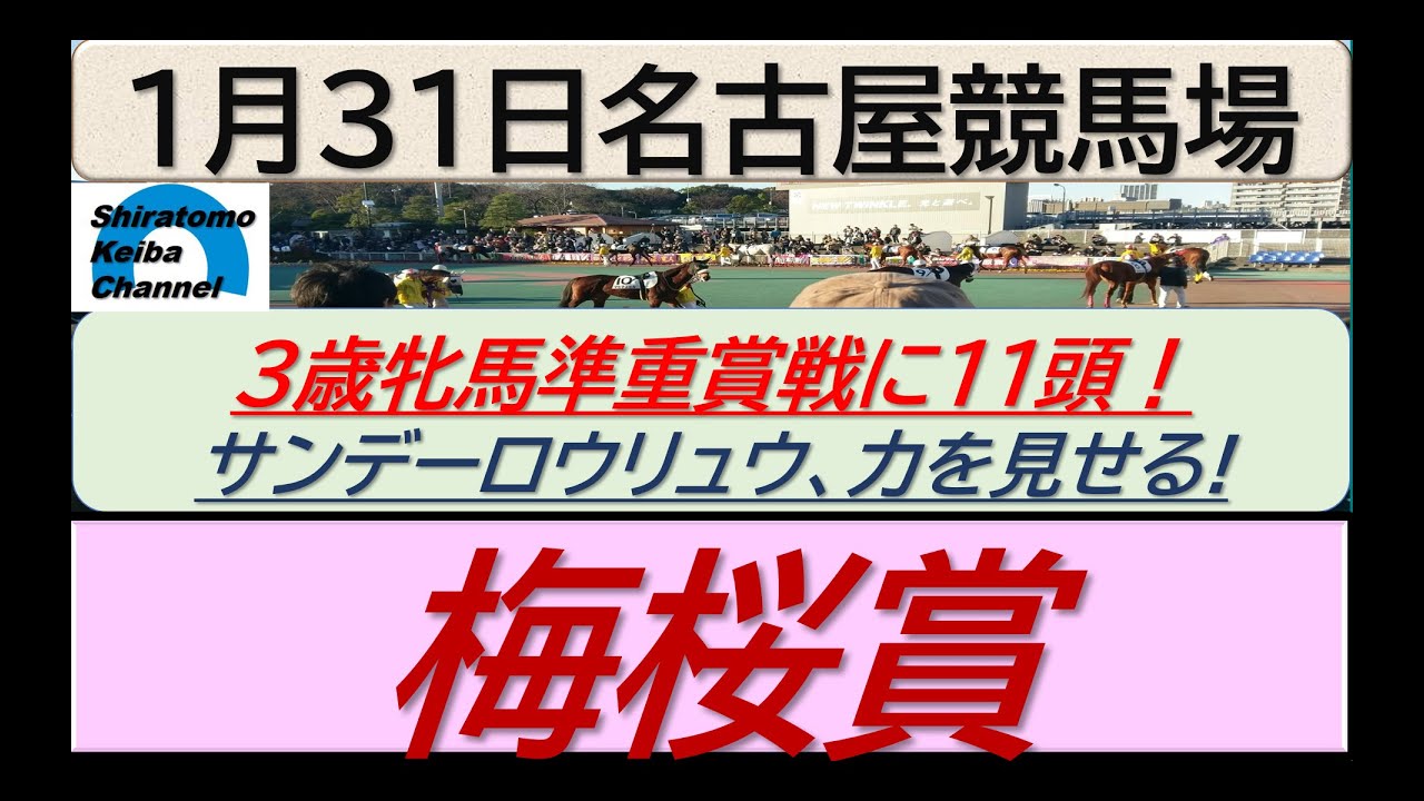 【競馬予想】準重賞・梅桜賞！～２０２４年１月３１日 名古屋競馬場 ：１－６３