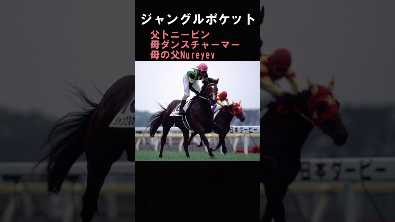 最近種牡馬を引退したダービー馬たち #jra #競馬#種牡馬 #ウマ娘
