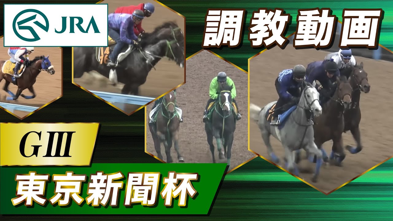 【調教動画】2024年 東京新聞杯｜JRA公式