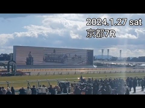 【坂井瑠星】ハイランドリンクス　京都7R
