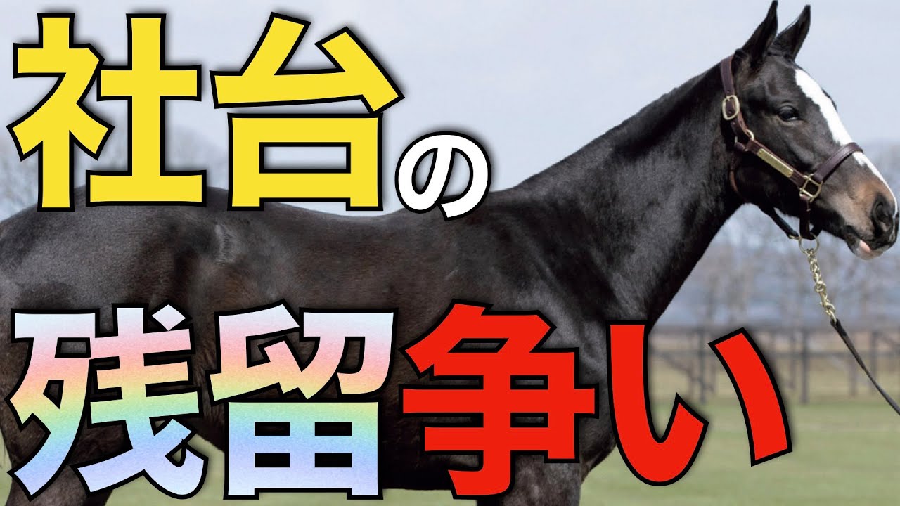 社台スタリオンに残るための闘い！この種牡馬たちの奮起に期待。