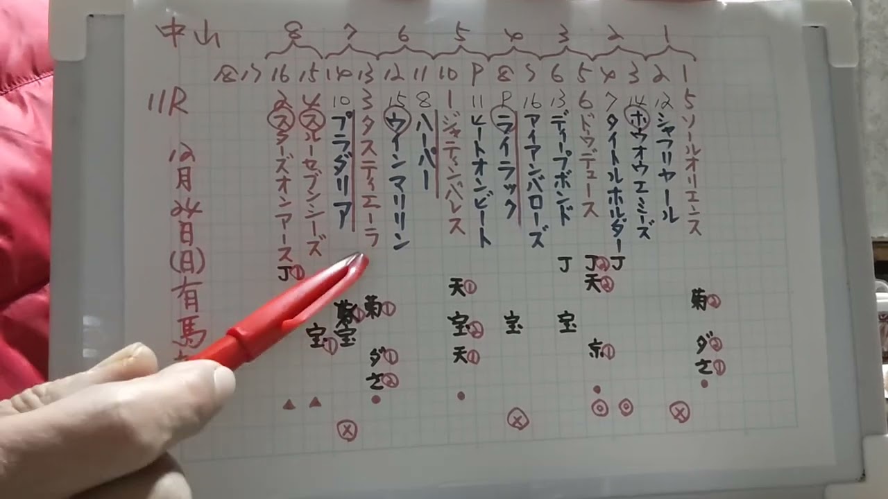 番外・ごみちゃんの中央競馬∶有馬記念の予想