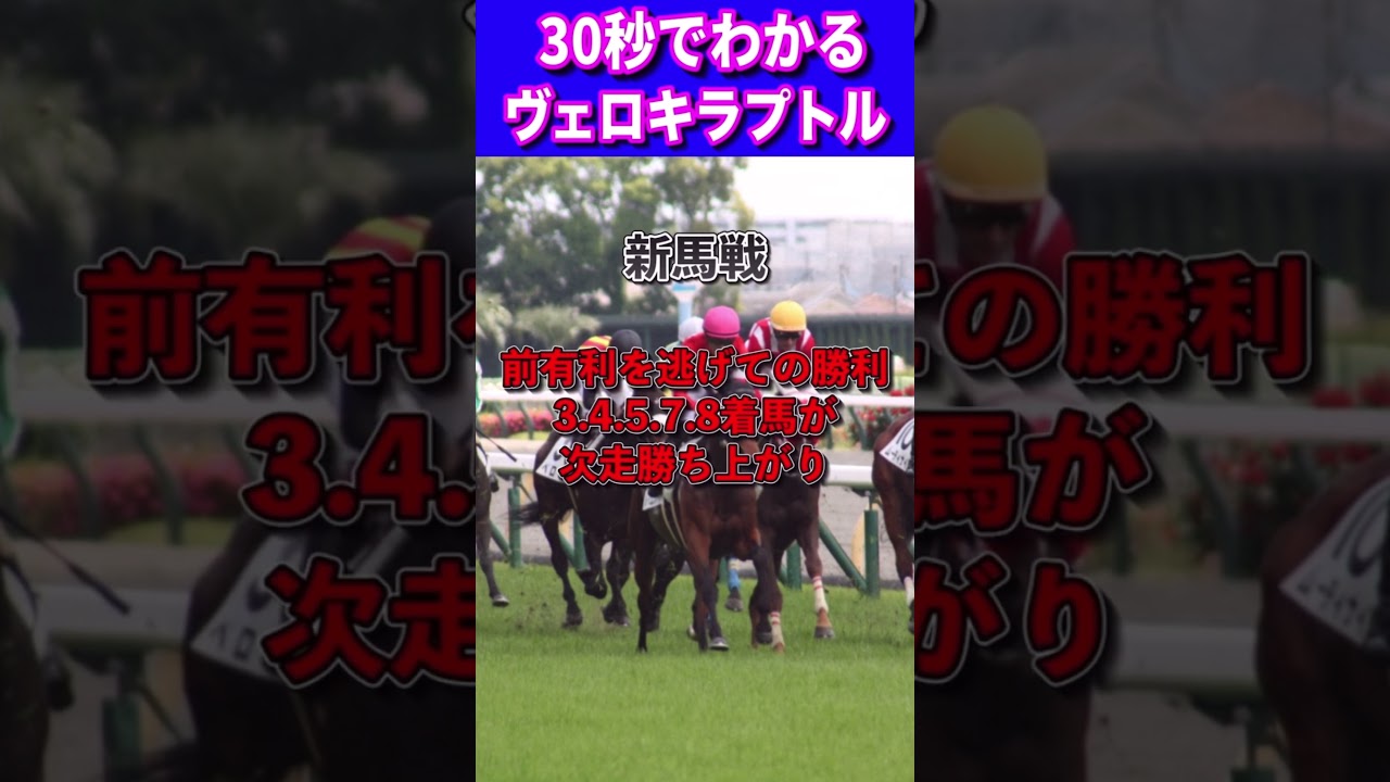 【ホープフルスS2023】30秒でわかるヴェロキラプトル