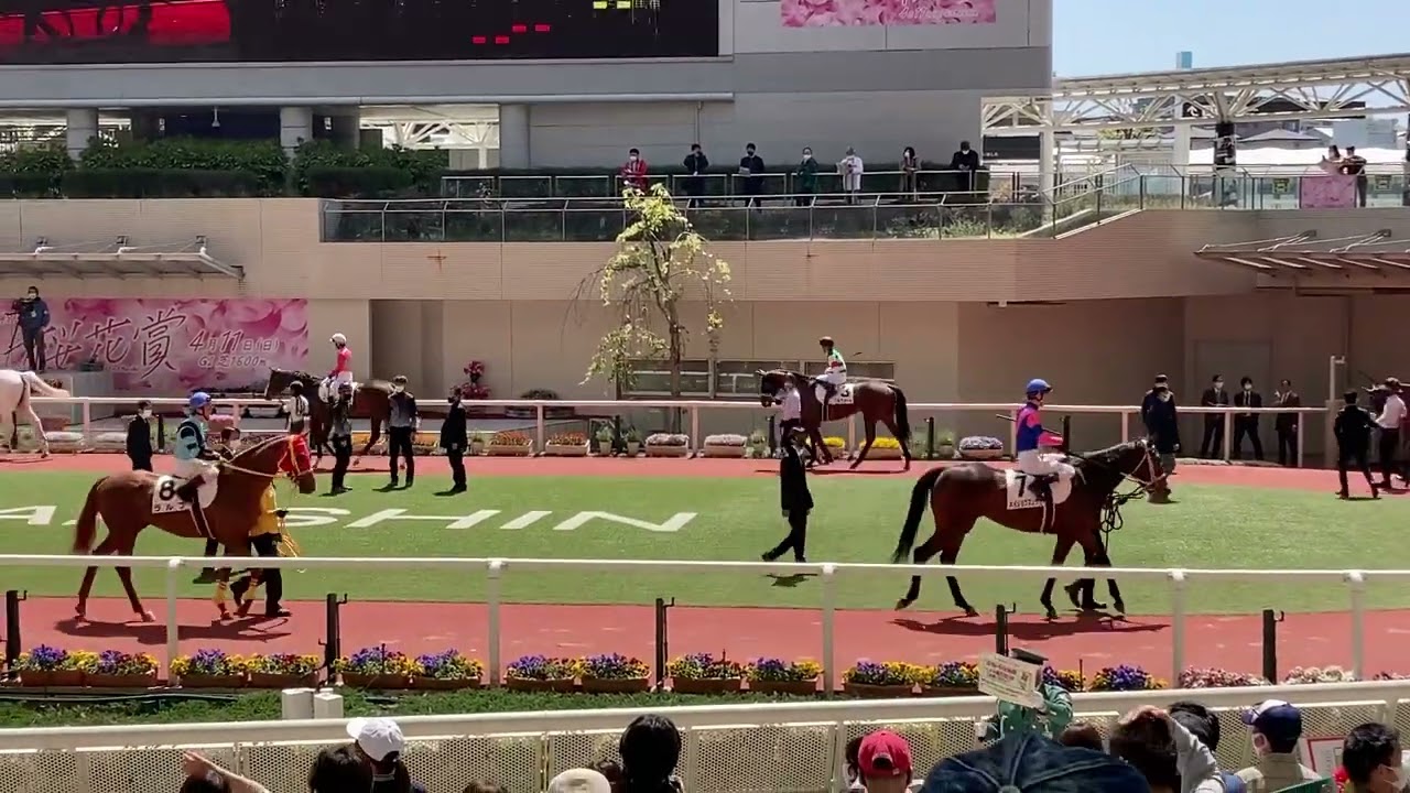 2021年4月11日 阪神第6レース パドック