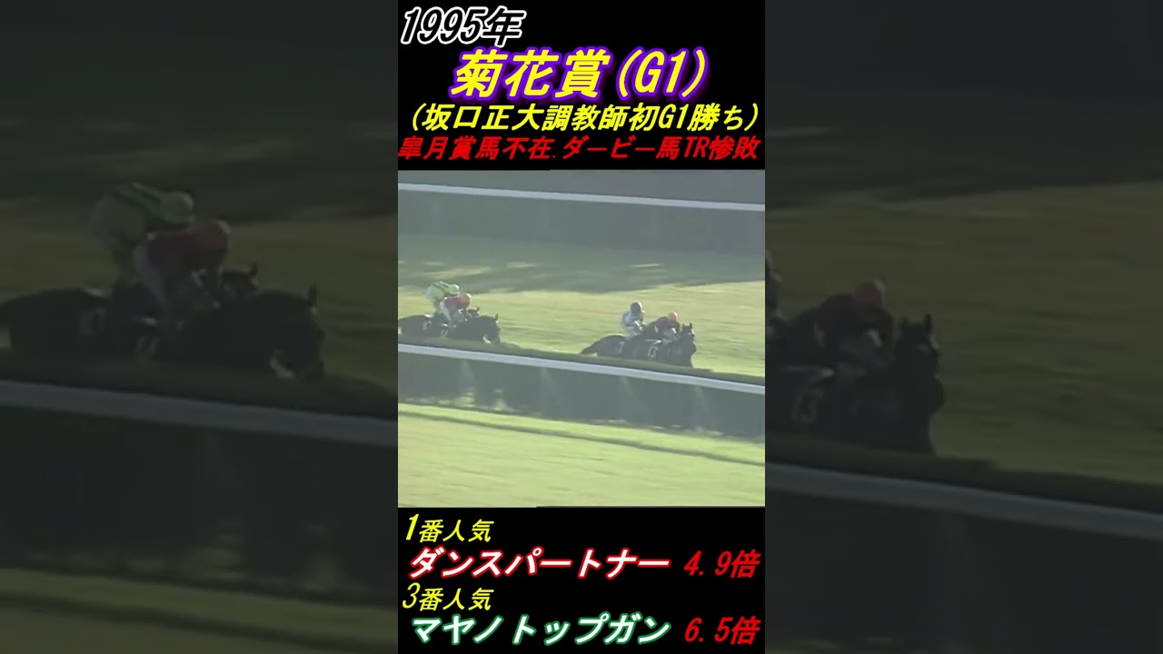 【え？牝馬が菊花賞1番人気！】マヤノトップガン VS ダンスパートナー！田原成貴 VS 武豊！ 菊花賞(G1･1995年) #マヤノトップガン #菊花賞 #ダンスパートナー #田原成貴 #武豊