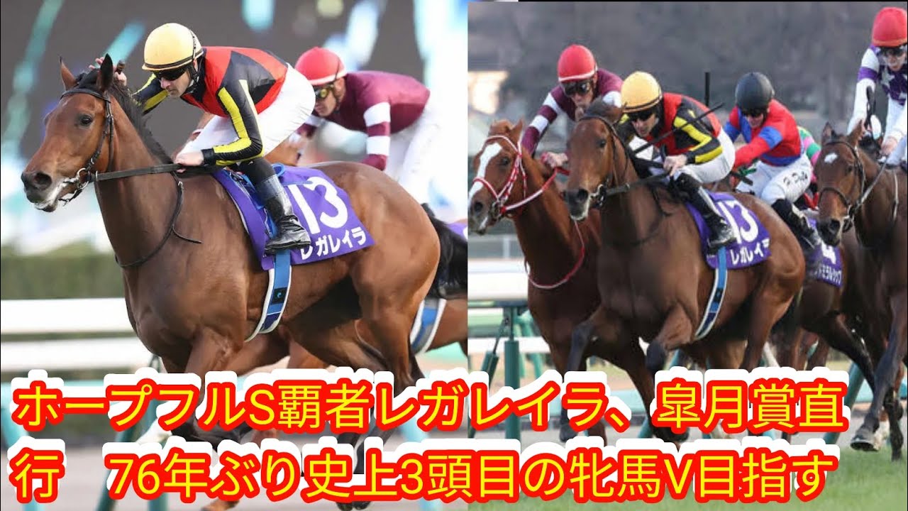 ホープフルS覇者レガレイラ、皐月賞直行　[Japan news]76年ぶり史上3頭目の牝馬V目指す