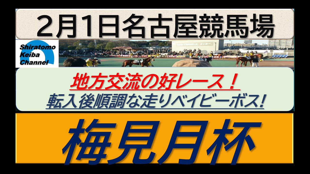 【競馬予想】重賞・梅見月杯！～２０２４年２月１日 名古屋競馬場 ：２－２