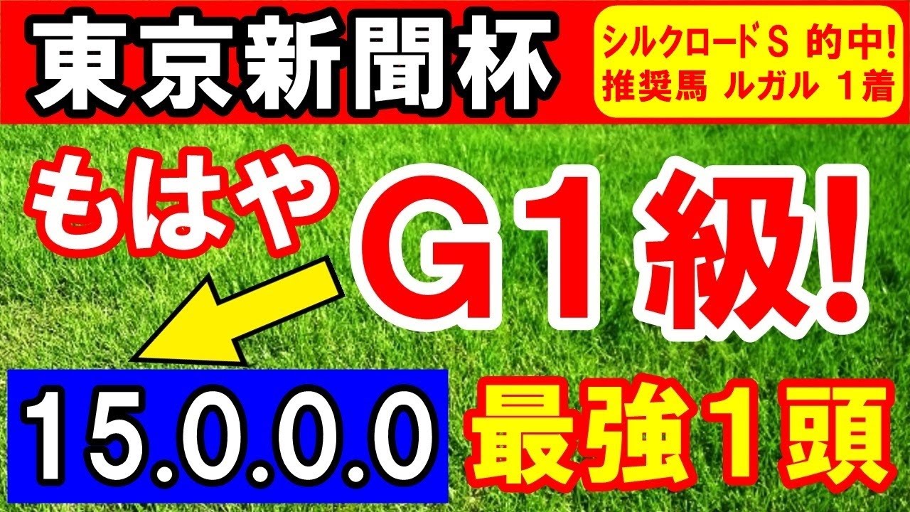 【 東京新聞杯 2024 】 もはやＧ１級！（15-0-0-0）最強１頭！