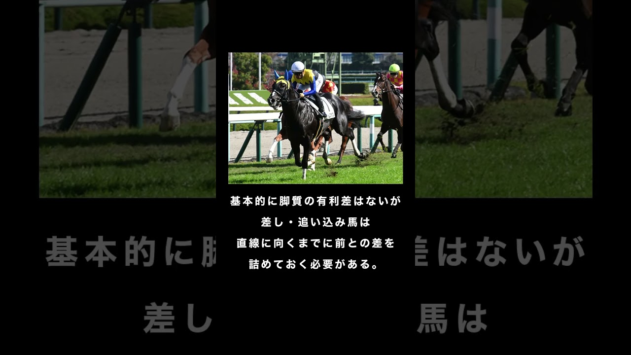 【馬券に役立つ京都芝1800m】#競馬 #京都競馬場 #きさらぎ賞