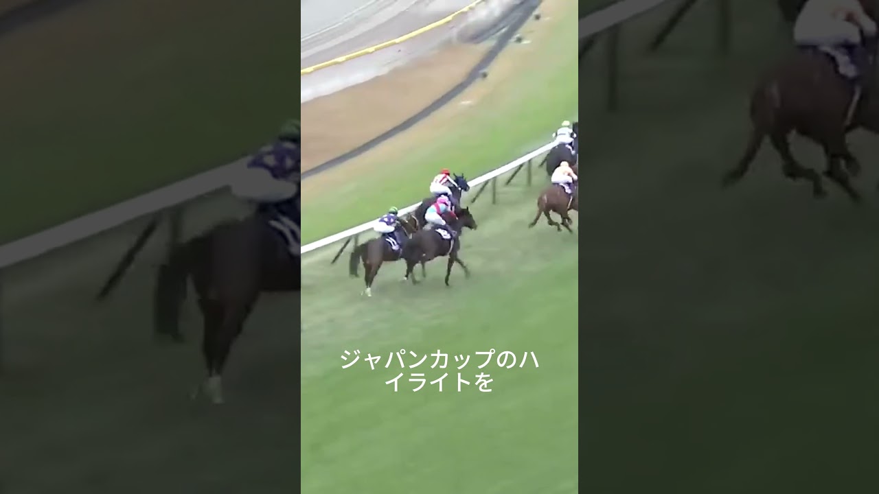 イクイノックス　ジャパンC #イクイノックス #競馬 #asmr