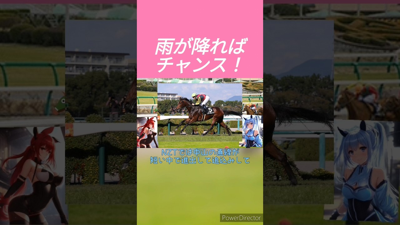 【東京新聞杯2024予想】23年NHKマイルCで2着 ウンブライル待望の重賞初制覇へ！　 #競馬予想