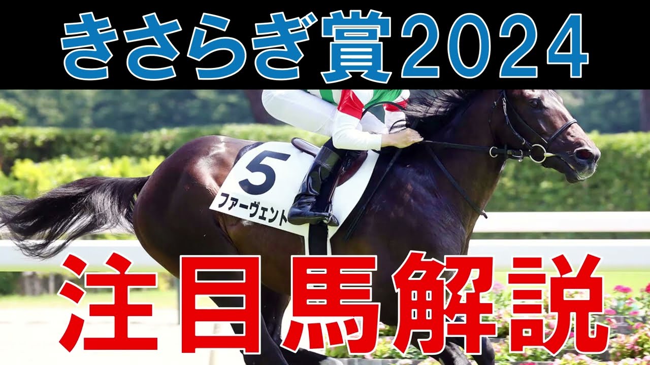 きさらぎ賞 2024 注目馬解説　クラシックにつながる注目のレース 京都の馬場状態にも注目