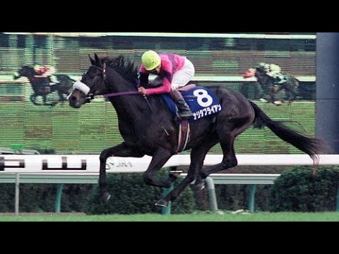第45回　朝日杯３歳ステークス （ＧⅠ）　ナリタブライアン　牡２　54　南井克巳　1993.12.12　出走馬：フィールドボンバー、トラストカンカン、ランセット、イナズマタカオー、エイシンワシントン他