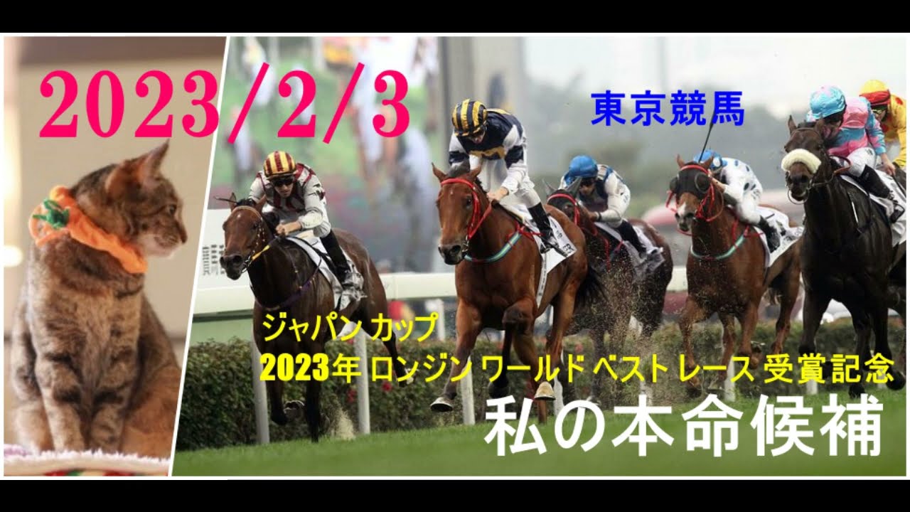 2024/2/3　東京競馬　ジャパン カップ 2023年 ロンジン ワールド ベスト レース 受賞記念　私の本命候補