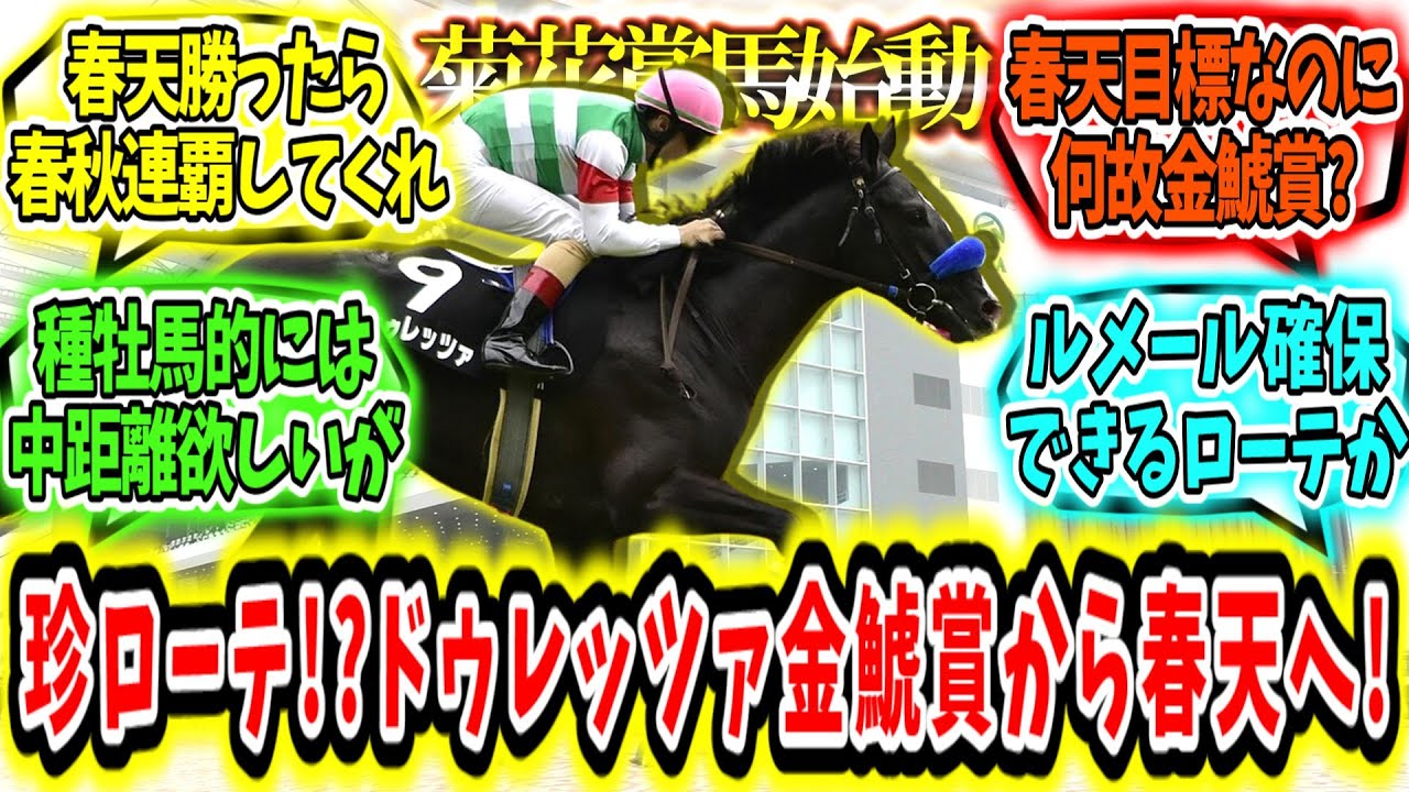『珍ローテ!?ドゥレッツァ金鯱賞参戦‼目標は春の天皇賞!?』に対するみんなの反応【競馬の反応集】