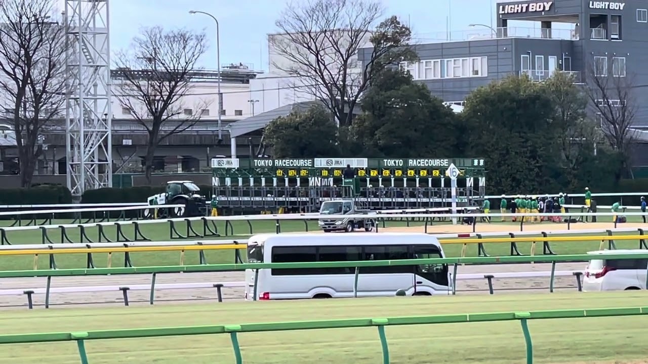 【子供も】フェブラリーステークスの舞台でもある東京ダート1600のスタート地点を間近撮ってみた【大喜び！？】