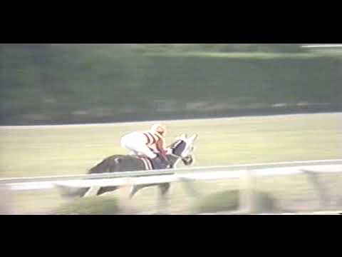 1983 宝塚記念 ハギノカムイオー（ハギノカムイオー10戦目）