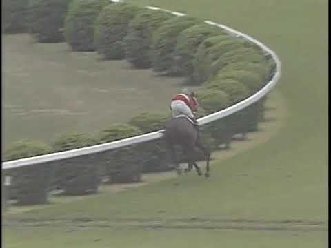 １９９２年　第１０８回　中山大障害（春）　シンボリクリエンス（９秒近くのぶっちぎり）　８頭立て　４頭　落馬　競争中止