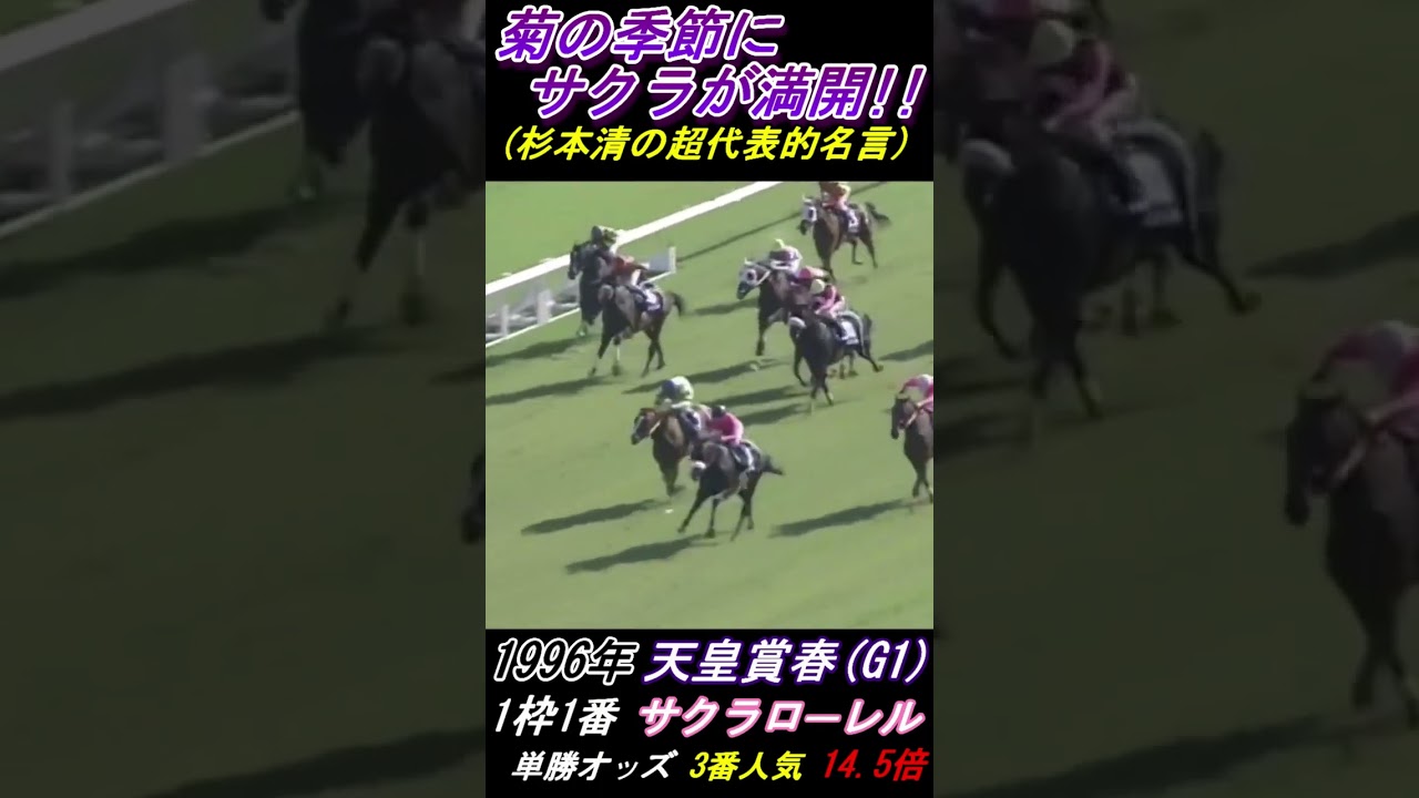 【杉本清のサクラが満開！】9年の時を経て京都競馬場に同じ名言が炸裂した瞬間！ 天皇賞春(G1･1996年) サクラローレルとナリタブライアン #杉本清 #桜が満開 #サクラローレル