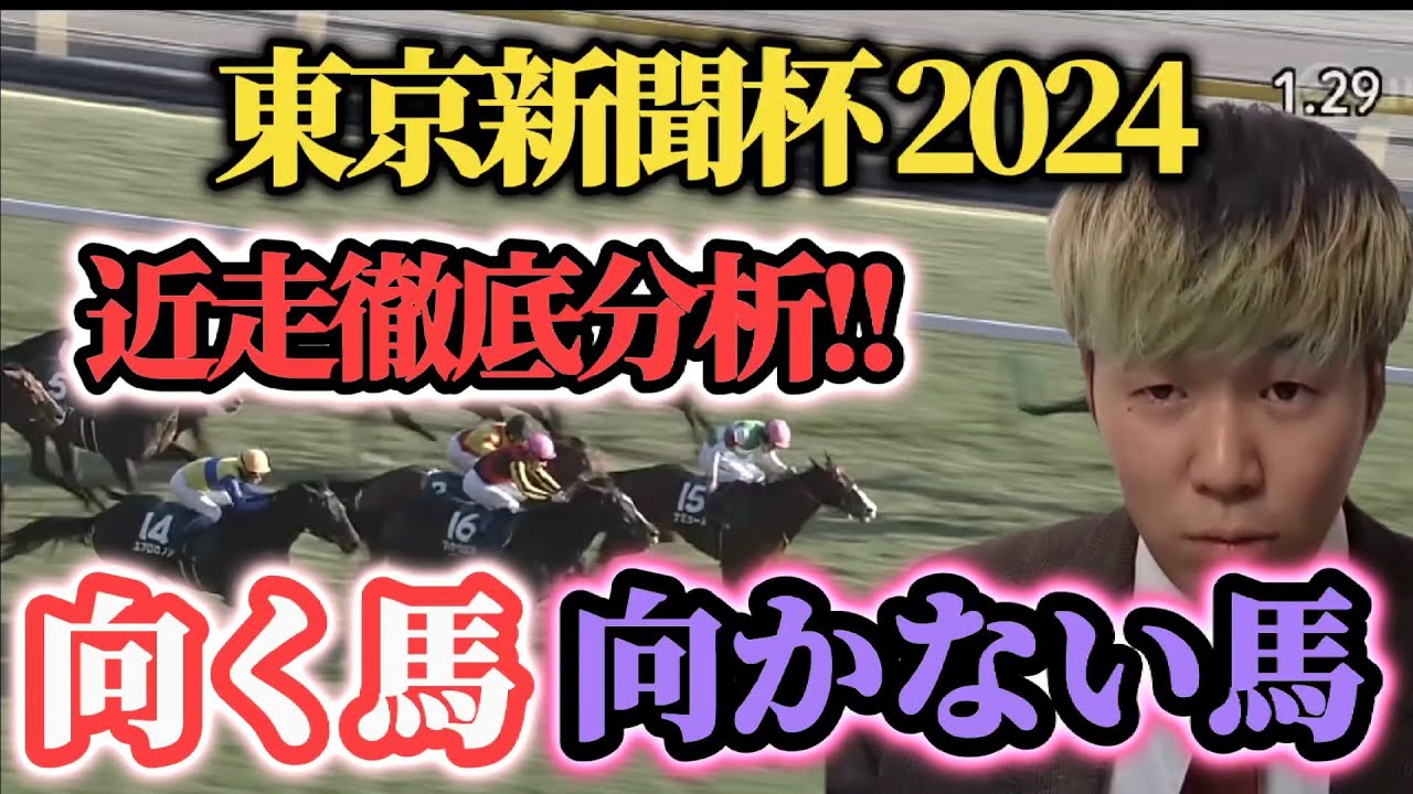 【東京新聞杯2024 全頭診断】近走徹底分析した結果見えてきた向く馬と向かない馬発表！
