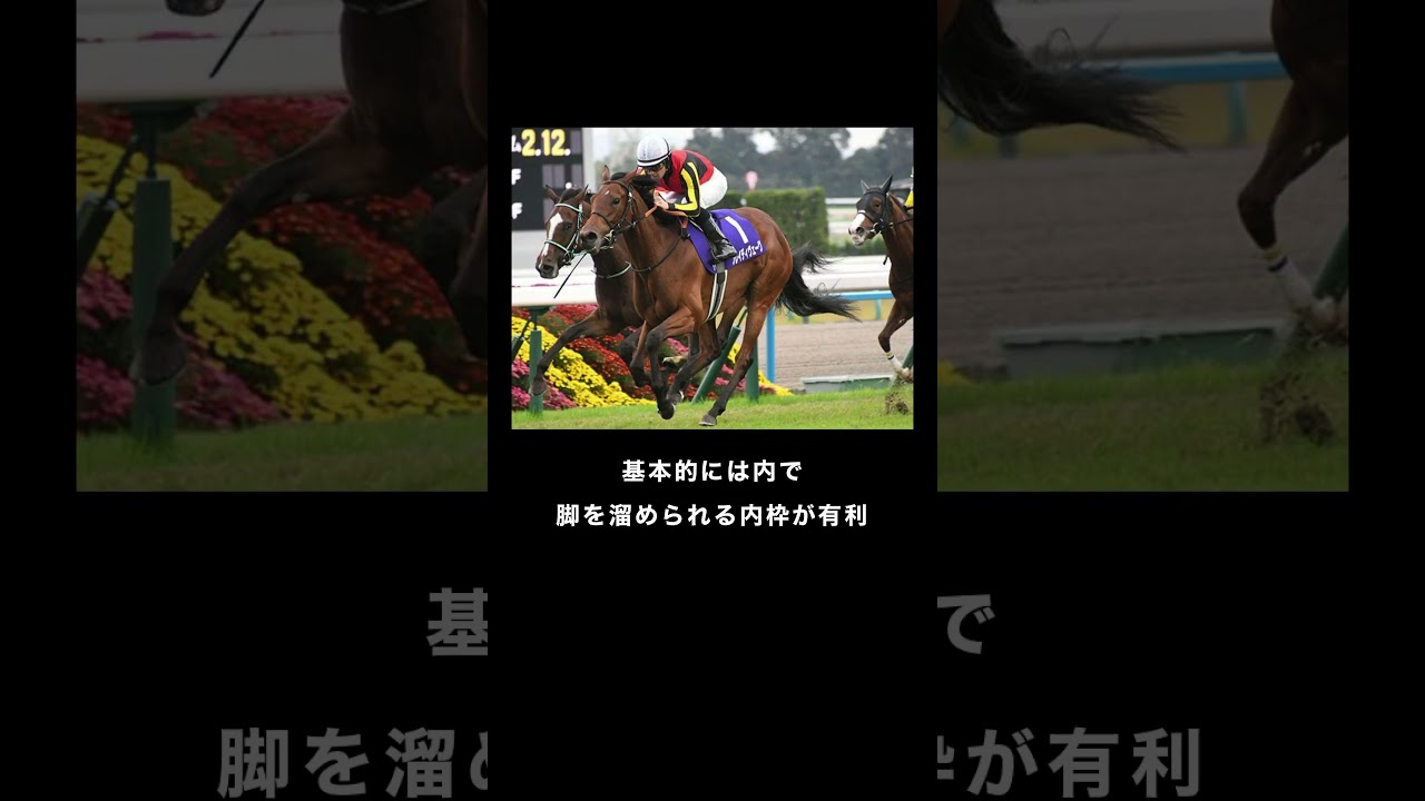 【馬券に役立つ京都 芝 2200m】 #競馬 #京都競馬場 #京都記念
