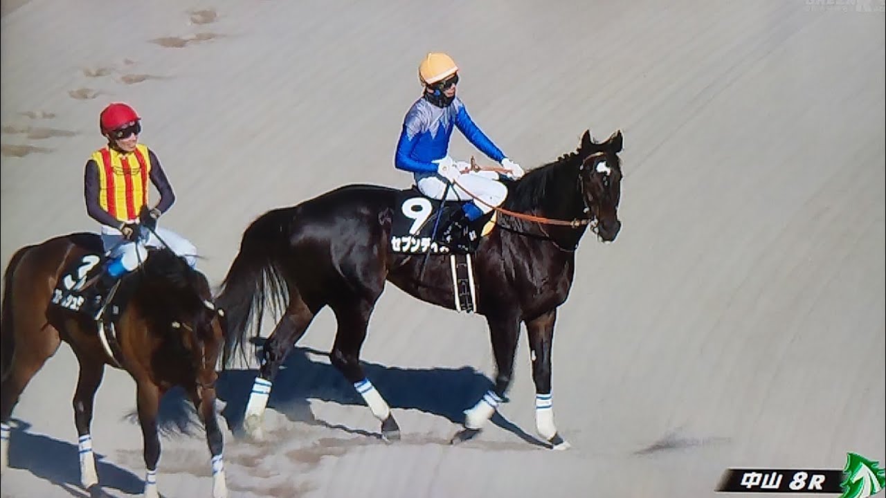 中山8レース中山新春ジャンプステークス セブンデイズ
