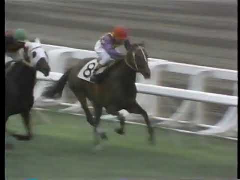 1976 日本ダービー クライムカイザー