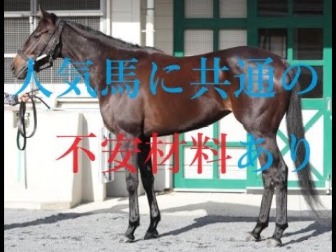 東京新聞杯人気馬に共通した悪材料 きさらぎ賞の強い馬は？シルクロードSは調教推奨馬が上位２頭に