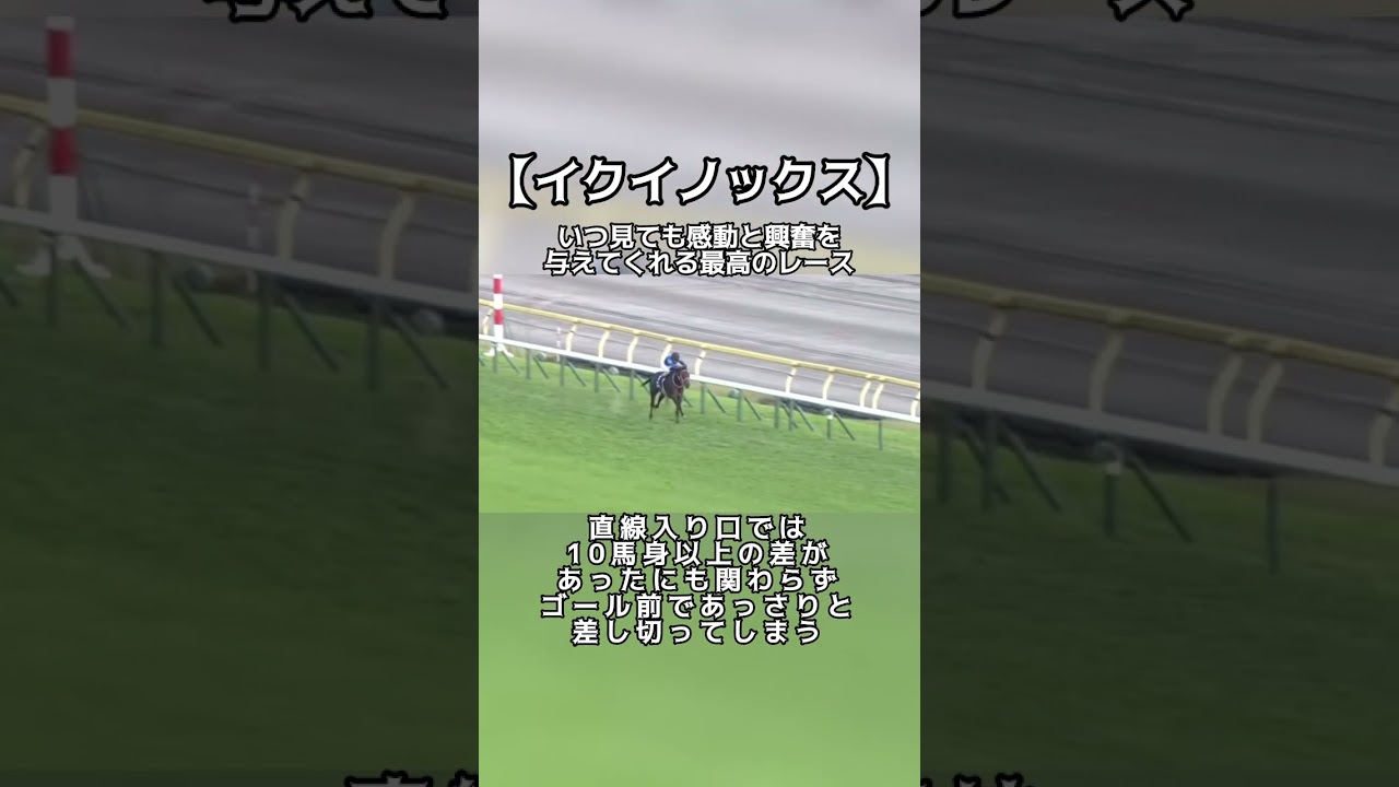 【競馬】イクイノックスの強さを証明出来るレース #天皇賞秋 #イクイノックス #競馬 #キタサンブラック